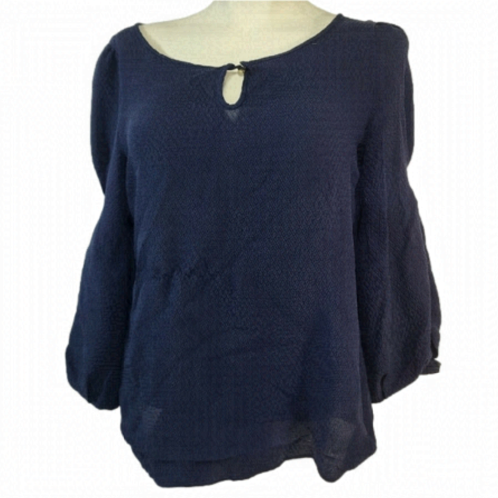 J Crew Blue Blouse